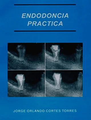 Cover of Endodoncia Práctica. Ciencias básicas y práctica clínica
